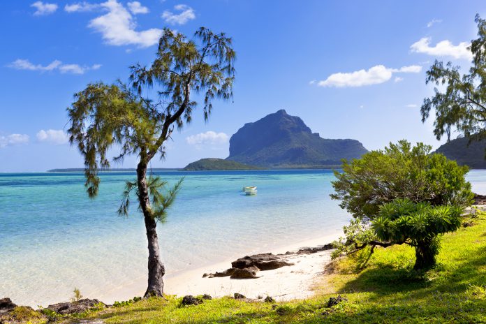 tropical lonely beach at mauritius island, africa.