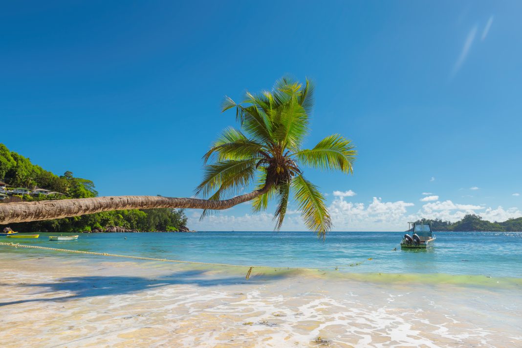 Coconut Palm trees on the sandy beach and beautiful sea, Jamaica