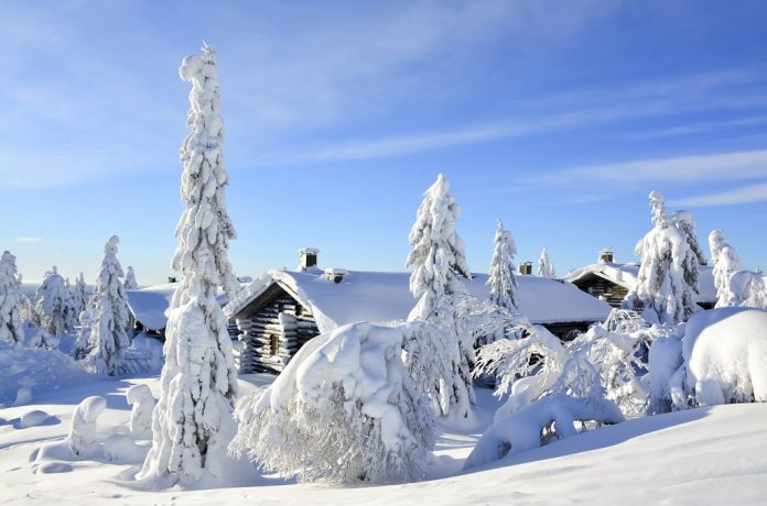 Cottages on snowy mountain on a sunny cold winter day on tourist resort in Lapland Finland. Cottages and spruce trees are covered by heavy snow.