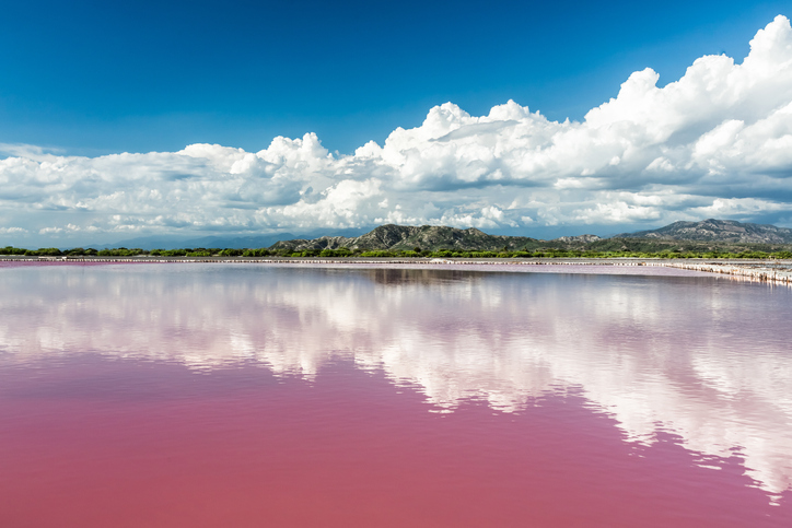 Pink lakes in Dominican Republic