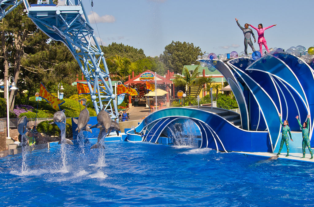 SeaWorld Celebrates 60th Anniversary And Unveils “There’s So Much More ...