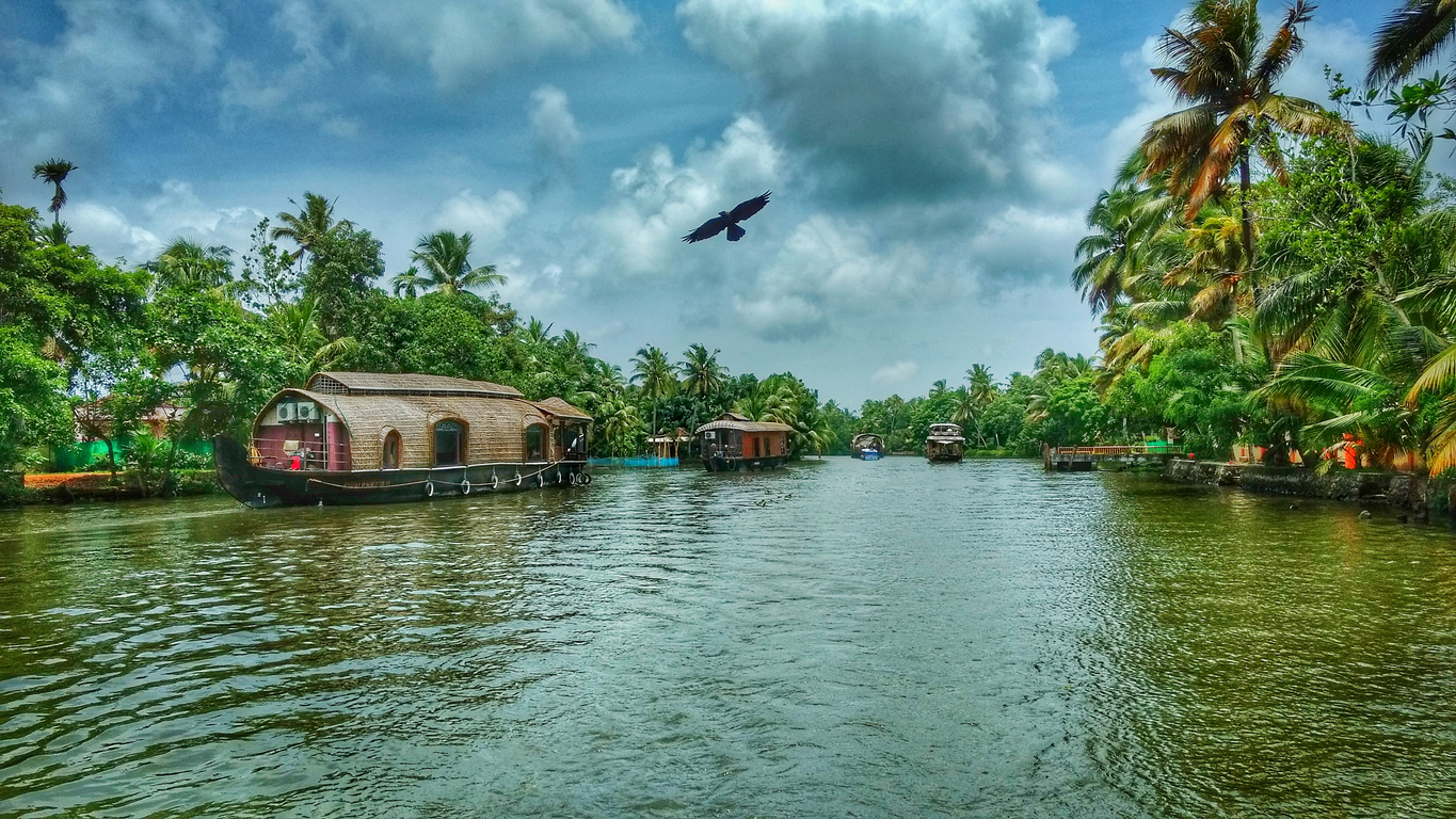 Glimpse of the God's Own Country, Kerala. Backwaters of Kerala can be seen along with house boats.