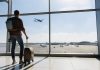 travel tips, Domestic Airlines, Aviation industry