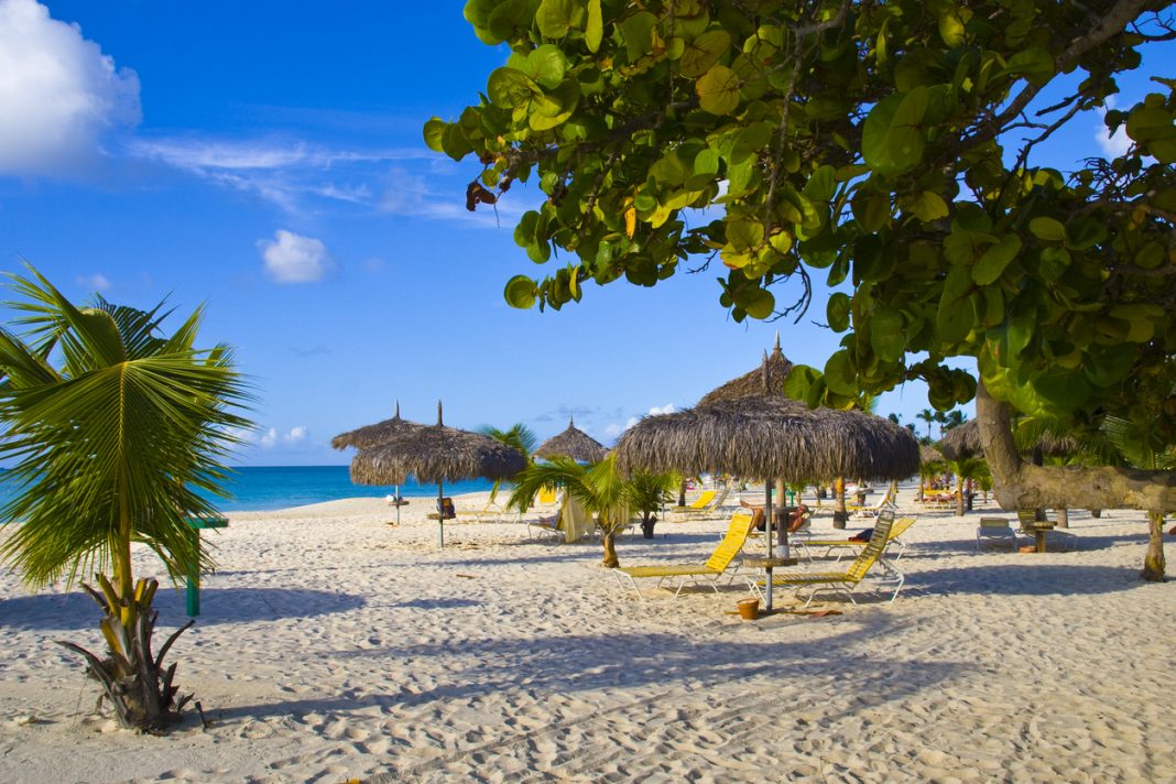 Beautiful beach with palapas and palmtrees, Eagle Beach, Aruba