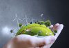 Championing Sustainability Through Responsible Tourism france