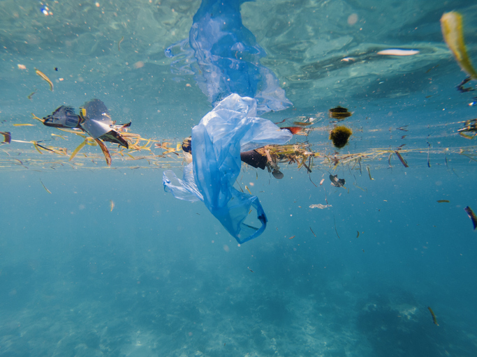 cruise ship environmental impact