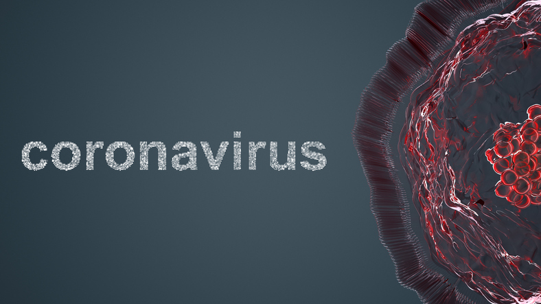 india coronavirus 