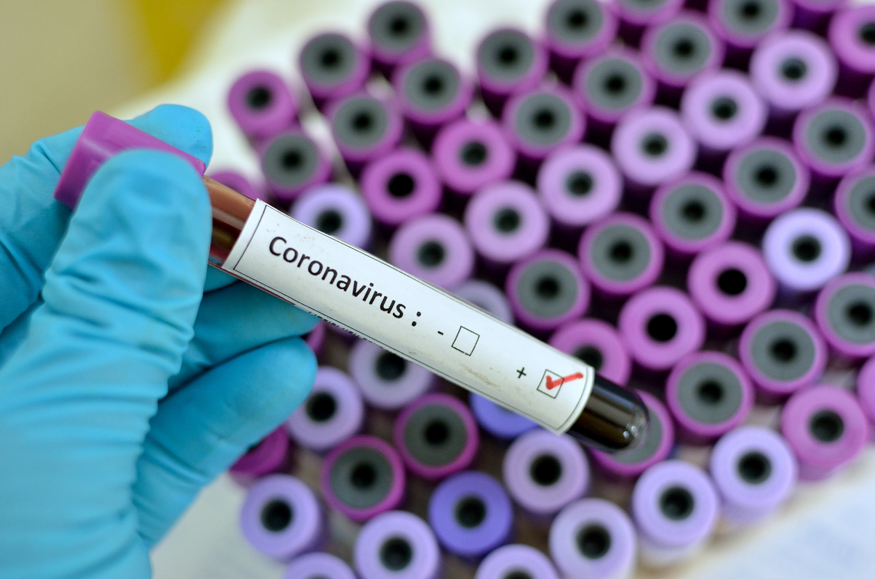 the louvre, coronavirus india
