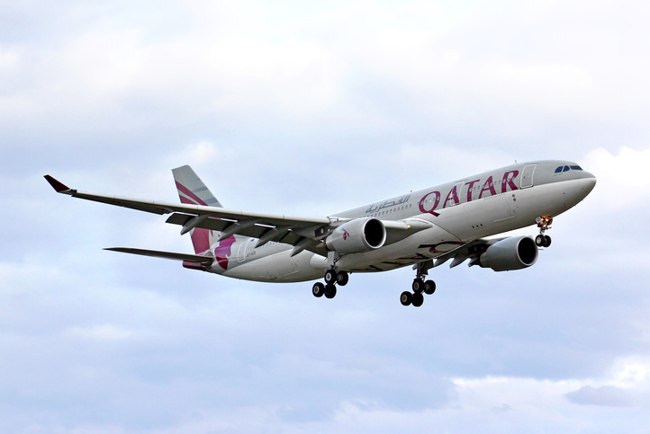 World Cup Qatar 2022TM Aircraft | 3D model