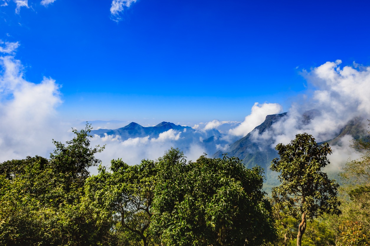 hill-station-kodaikanal-reopens-for-tourists-the-dope