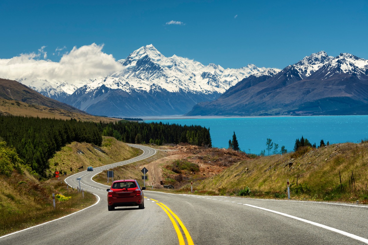 new zealand tourism from india
